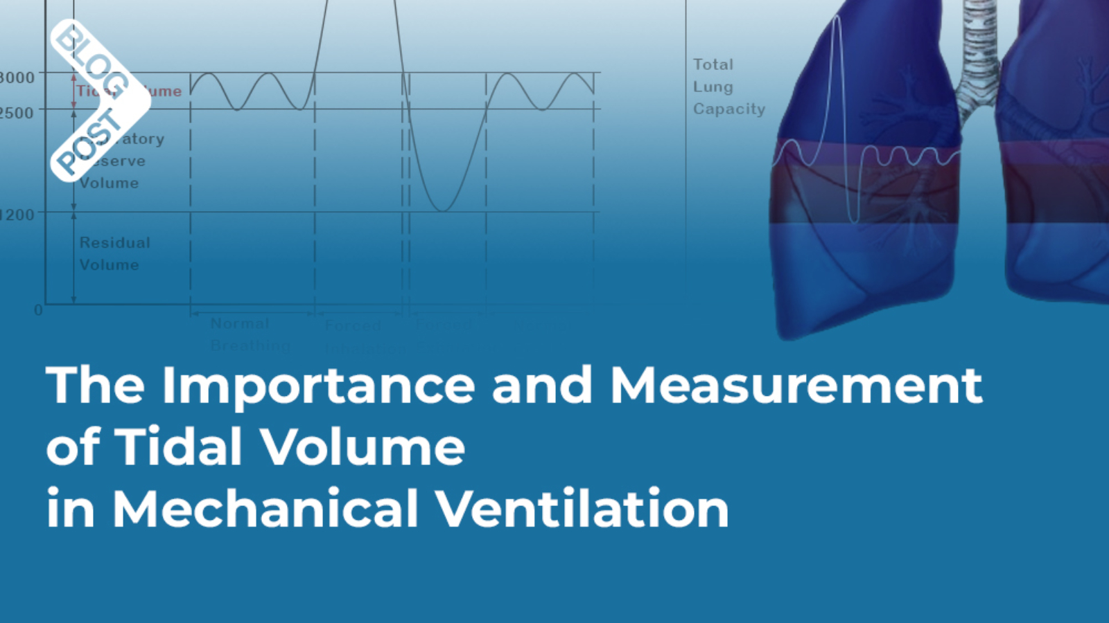 tidal volume in mechanical ventilation cover photo