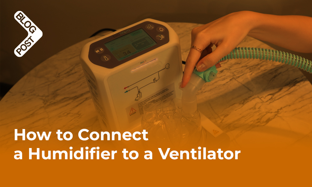 Connecting a humidifier to a ventilator for optimal airway humidification.