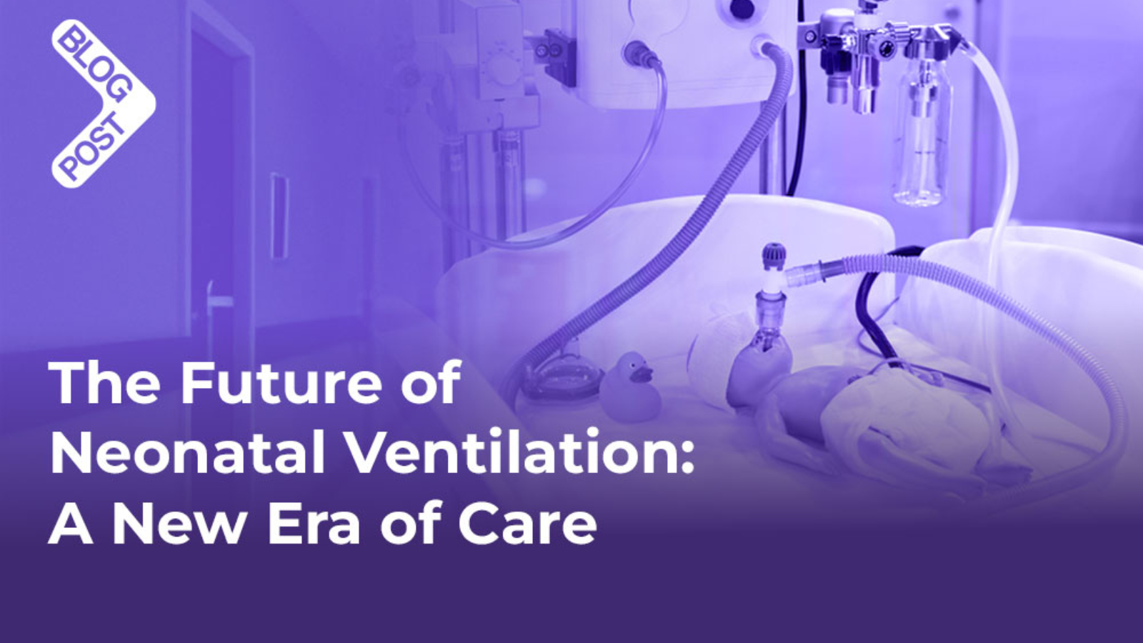 neonatal ventilation