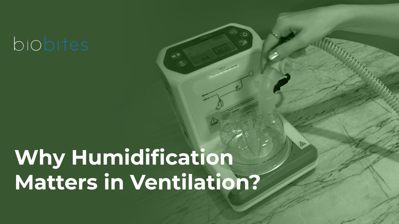 humidification during mechanical ventilation