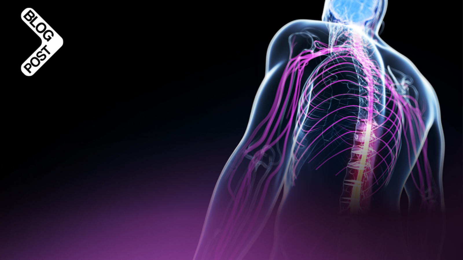 Home mechanical ventilation in neuromuscular disease