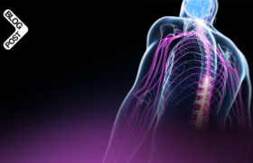 Home mechanical ventilation in neuromuscular disease