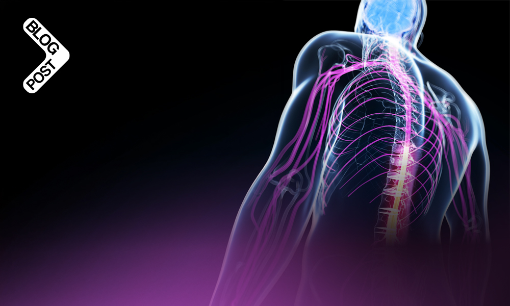 Home mechanical ventilation in neuromuscular disease